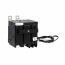 2-Pole Non-Interchangeable Circuit Breaker (30A, 120/240V)