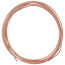 Capillary Tube .052 Id X 12 Ft