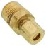 1/4" OD x 3/8" MIP Brass Compression Connector, Lead Free