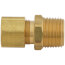 1/2" OD x 1/2" MIP Brass Compression Connector, Lead Free