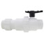 2" PVC Ball/Check Valve Combo with Union