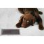 FDI Floor Drop-In Heater (1,500 Watts - 120 Volt), FDI1500