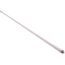 Lamp - Phillips 25w F25t8, 503-229B-02