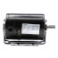 6-1/2" Capacitor Start Resilient Base Motor (115/208-230V, 1/2 HP, 3450 RPM)