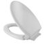 SS154#11 Traditional Softclose Non Slamming, Slow Close Elongated Toilet Seat & Lid (Colonial White)