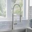 Catris Semi-Pro Pull-Down Dual-Spray Kitchen Faucet (PVD Steel), 401918
