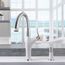 Artona Pull-Down Dual-Spray Kitchen Faucet (PVD Steel White), 442036-BLANCO