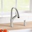 Artona Pull-Down Dual-Spray Kitchen Faucet - PVD Steel, 442037