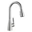 Atura Pull-Down Dual-Spray Bar Faucet - PVD Steel, 442210