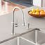 Empressa High Arc Pull-Down Dual-Spray Kitchen Faucet - PVD Steel, 442500