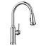 Empressa High Arc Pull-Down Dual-Spray Kitchen Faucet - Chrome, 442501