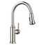 Empressa High Arc Pull-Down Dual-Spray Kitchen Faucet (Polished Nickel)