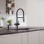 Catris Flexo Filter-Ready Semi-Pro Pull-Down Dual-Spray Kitchen Faucet (Matte Black)