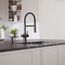 Catris Flexo Filter-Ready Semi-Pro Pull-Down Dual-Spray Kitchen Faucet (Matte Black)