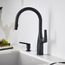 Rivana High-Arc Pull-Down Dual-Spray Kitchen Faucet - Matte Black, 443020, 443020-BLANCO