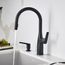 Rivana High-Arc Pull-Down Dual-Spray Kitchen Faucet - Matte Black, 443020, 443020-BLANCO