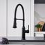 Empressa Semi-Pro Pull-Down Dual-Spray Kitchen Faucet - Matte Black, 443022, 443022-BLANCO