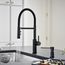 Catris Flexo Semi-Pro Pull-Down Dual-Spray Kitchen Faucet (Matte Black), 443026