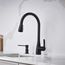 Atura Pull-Down Dual-Spray Bar Faucet - Matte Black, 443028, 443028-BLANCO