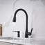 Atura Pull-Down Dual-Spray Bar Faucet - Matte Black, 443028, 443028-BLANCO