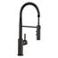 Catris Semi-Pro Pull-Down Dual-Spray Kitchen Faucet (Matte Black), 443032-BLANCO