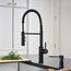 Catris Semi-Pro Pull-Down Dual-Spray Kitchen Faucet (Matte Black), 443032-BLANCO