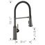 Empressa Semi-Pro Pull-Down Dual-Spray Kitchen Faucet, 1.5 GPM - Satin Dark Steel, 443264