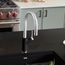 Urbena Pull-Down Dual-Spray Kitchen Faucet - Chrome/Coal Black, 526398