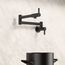 Blancoculina II Wall-Mounted Pot Filler w/ 2 Single-Lever Handles, 1.5 GPM - Matte Black, 527486