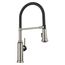 Empressa Semi-Pro Pull-Down Dual-Spray Kitchen Faucet, 1.5 GPM - Satin Platinum, 443246