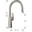 Rivana High-Arc Pull-Down Dual-Spray Kitchen Faucet, 1.5 GPM - Satin Platinum, 443249