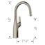 Rivana Bar Pull-Down Faucet, 1.5 GPM - Satin Platinum, 443250