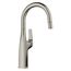 Rivana Bar Pull-Down Faucet, 1.5 GPM - Satin Platinum, 443250