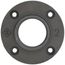 2" Black Floor Flange