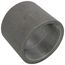 3" Black Steel Merchant Coupling Taper Tapped