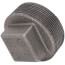 2" Black Plug