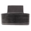 2-1/2" Black Plug