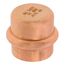 3/4" Press Copper Cap