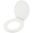 Slow Close Plastic Round Toilet Seat (White)