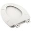 Molded Wood Elongated Toilet Seat (White)