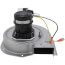 3075 RPM Inducer Blower Motor (208-230V), BLW01371