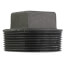 2" Black Plug