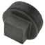 2" Black Plug