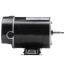 Flex-48 Above Ground Pool & Spa Motor w/ SS Shaft & Ball Bearing (115V, 3450 RPM, 1/2 HP)