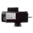 Flex-48 LASAR-XL Extra Low Amps Above Ground Pool & Spa Motor (208-230V, 3450/1725 RPM, 4, 1/3 HP)