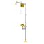 S19-312 Drench Shower w/ Eye and Face Wash Station, Plastic Showerhead and Bowl