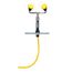 Deck-Mounted Hand-Held Hose Spray w/ Dual Angled Sprayheads, S19-465EFW