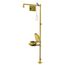 Combination Spintec Drench Shower & Halo Eye/Face Wash w/ Plastic Bowl & Dust Cover, S19314PDCFW