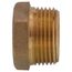 1" x 1/2" MIP x FIP Brass Bushing (Lead Free)