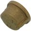 1/2" Threaded Brass Cap (Lead Free)
